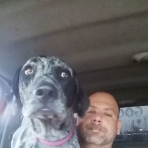 Meet your Posher, Matthew